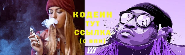 дмт Переславль-Залесский