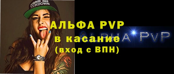ECSTASY Пересвет
