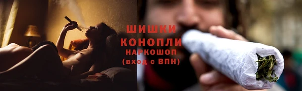 дмт Переславль-Залесский