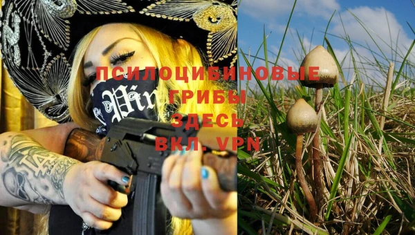 мяу мяу мука Осинники