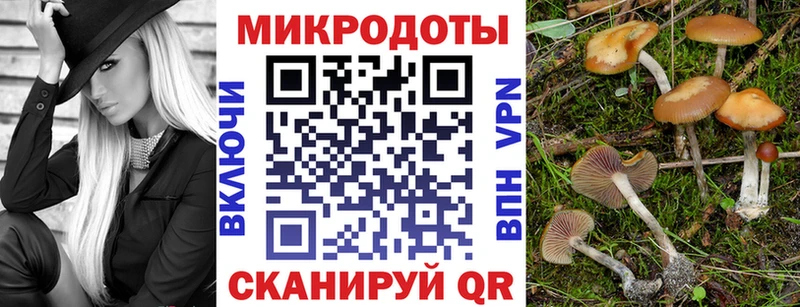 Галлюциногенные грибы мицелий Королёв