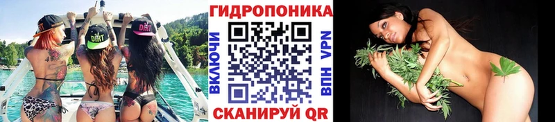 Шишки марихуана конопля Королёв